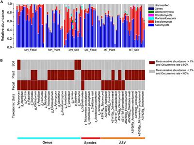 Assessing the Influence of Environmental Sources on the Gut Mycobiome of Tibetan Macaques